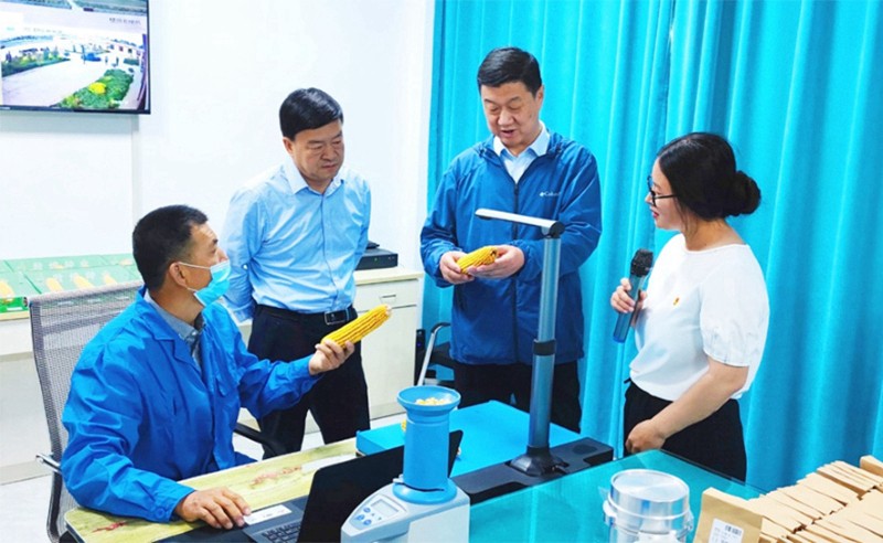 甘肅省地方金融監(jiān)管局、甘肅證監(jiān)局領(lǐng)導(dǎo)蒞臨敦煌種業(yè)調(diào)研指導(dǎo)