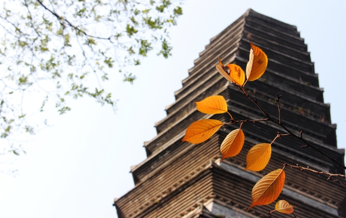 香港马开六彩